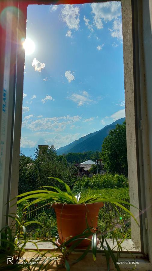 Hotel Shaulini Kashveti Zewnętrze zdjęcie