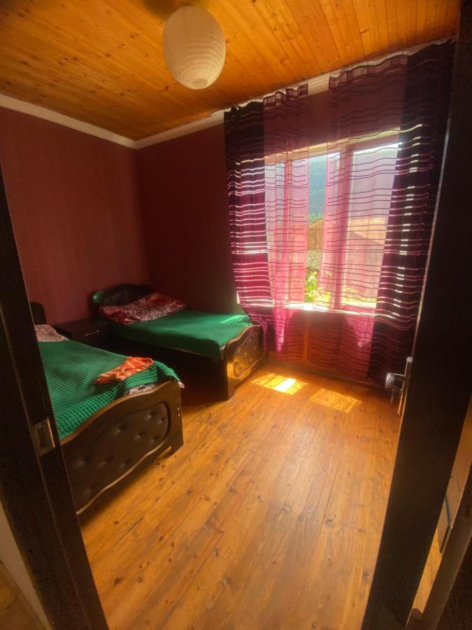 Hotel Shaulini Kashveti Zewnętrze zdjęcie