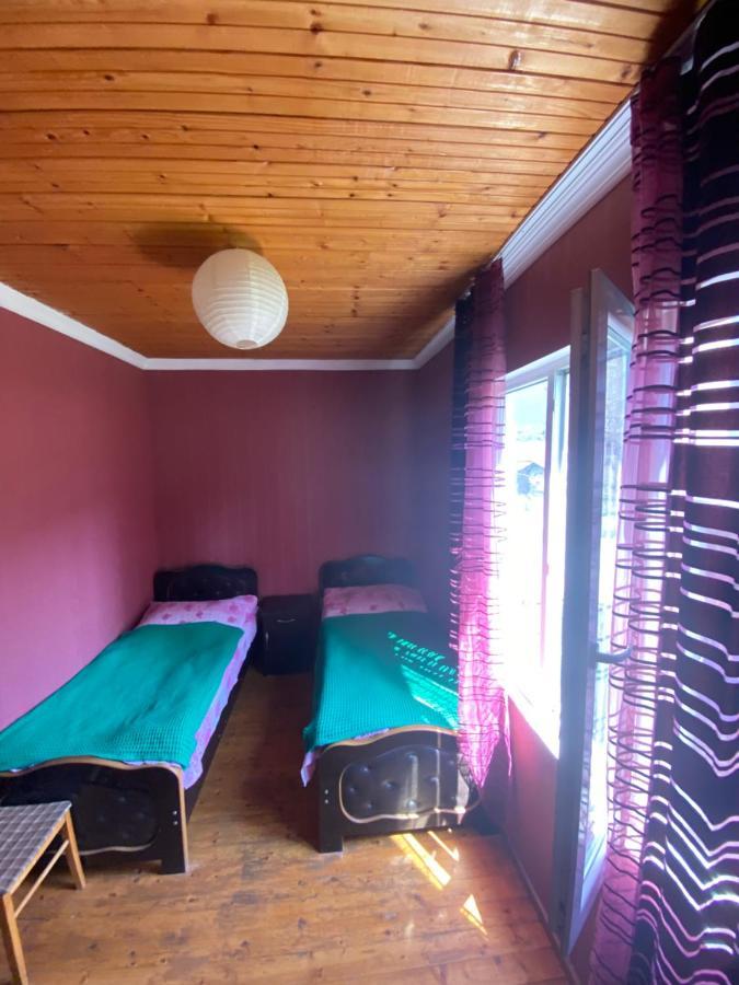 Hotel Shaulini Kashveti Zewnętrze zdjęcie