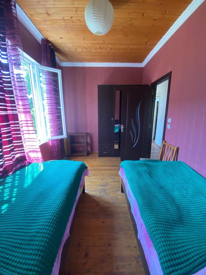 Hotel Shaulini Kashveti Zewnętrze zdjęcie