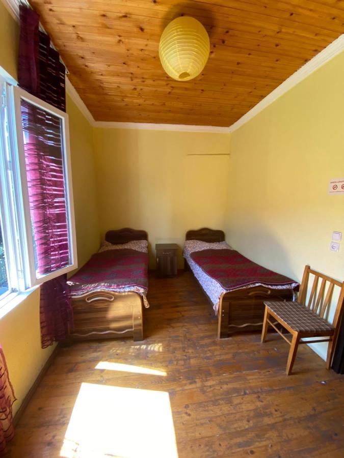 Hotel Shaulini Kashveti Zewnętrze zdjęcie