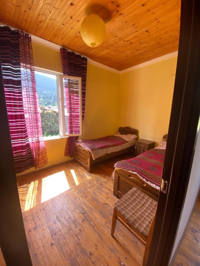 Hotel Shaulini Kashveti Zewnętrze zdjęcie