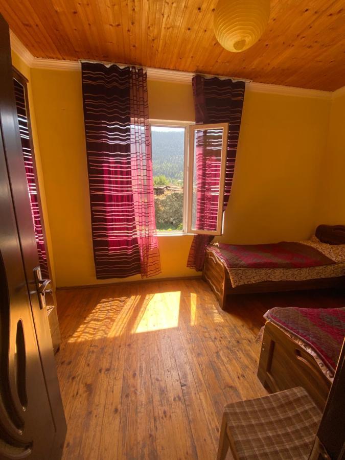 Hotel Shaulini Kashveti Zewnętrze zdjęcie